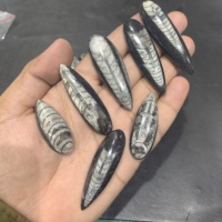 Piedra Preciosa Fósil de Orhocerá Natural de Alta Calidad Certificada por IGI, Creaciones Rida, Negro Grisáceo, Tamaños de 4mm-10mm, Personalizable para Joyería