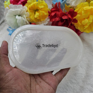 Elegante Bandeja de Servicio Móvil de Resina Moderna, Plato Decorativo Premium para el Hogar, Cafetería y Regalos Tradebyd - Product Image 1
