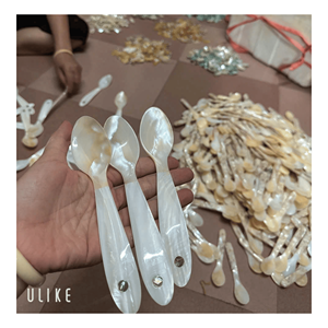 mother of pearl spoon crafted from natural shell material for <b>dining</b> serving desserts and <b>table</b> decoration, handmade in Vietnam - Product Image 1