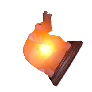 Lámpara de Sal del Himalaya en Forma de Elefante Hecha a Mano, Artesanía Natural de Pakistán, Estilo Animal, Tamaño Personalizado para el Hogar - Product Image 3