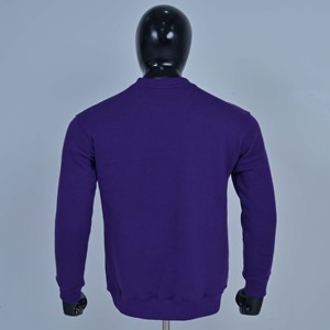Sudadera al por mayor de cuello redondo unisex de Benedict College, ajuste regular, azul claro, informal, 100% algodón - Product Image 4