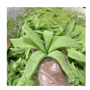 Rodajas de Coco Secas Suaves de Fábrica Vietnamita Hechas con Cocos Maduros Frescos, OEM, Marca Privada, Venta al por Mayor, Listas para Exportación - Product Image 5