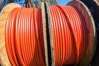 AS/NZS 5000.1 2/3 Adern + E/4c + Erdung 4mm2 6mm2 10mm2 16mm2 25mm2 35mm2 PVC-Ummanteltes Kupfer 500mm XLPE Rundkabel