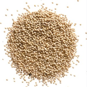 Graines de moutarde de qualité supérieure les plus vendues pour usage culinaire, traitement agricole, approvisionnement disponible, bon prix - Product Image 2