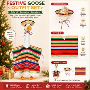 Garden Goose Outfit Mexican Fiesta Serape <b>Poncho</b> Straw Sombrero Rainbow Stripe Fringe Porch Statue Decor Holiday Party - Product Image 4