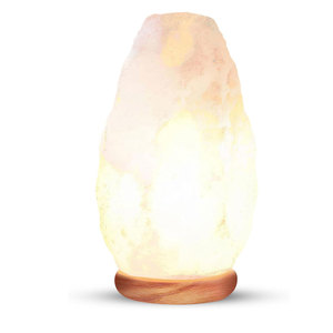 Lámpara de Sal del Himalaya Minimalista con Diseño Floral y Musical, Hecha a Mano, Decoración Moderna para el Hogar de Alta Calidad - Product Image 1