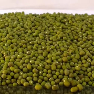 Frijoles Mung Verdes Naturales Secos Disponibles de Proveedores Expertos con Proceso de Clasificación y Empaque Listo para Exportación para Importación - Product Image 2