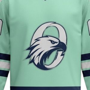 Men Mint Green Navy Sublimated Ice Hockey Printable Polyester V Neck Jersey Long Sleeve <b>Athletic</b> Match Wear Performance - Product Image 5