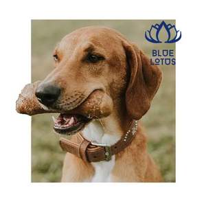 FAVORI DES CLIENTS 2026 Bâton à mâcher en bois de café, bâton en bois dur longue durée pour l'entraînement à la mastication et le jeu amusant - Product Image 1