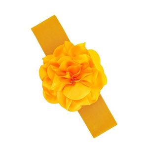 Cintura Elastica in Tessuto con Charm Floreale in Chiffon - Product Image 4