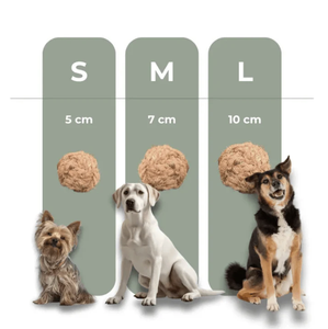 Pelota Masticable de Coco para Perros, Juguete Duradero y Seguro para Mascotas, Accesorios para Perros al por Mayor, OEM, Ecológico - Product Image 5