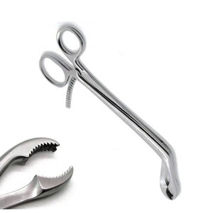 Pinzas de tejido Allis veterinarias de alta calidad de 14 cm, instrumento quirúrgico profesional, pinzas de cirugía animal de acero inoxidable - Product Image 5