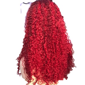 Pelucas de cabello humano de encaje para mujer Peluca de encaje de color borgoña rizado al agua Hd Extensiones de cabello de peluca frontal de color rojo de onda profunda - Product Image 1
