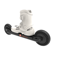 Chaussures de patin à roues alignées clignotantes de haute qualité pour adultes