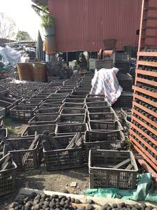 BRIQUETTES DE CHARBON DE BOIS HEXAGONAL PAR BIWOOD COMPANY VIETNAM, CHARBON DE BOIS DE HAUTE QUALITÉ, LONGUE DURÉE ET AUCUNE EXPLOSION - Product Image 6