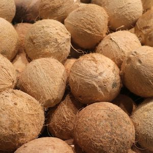 Husked <b>Coconut</b> Sweet and Fresh OEM Export Service, Straight From VIA - Vietnam! - Product Image 3