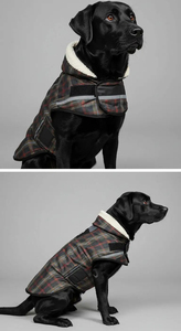 Veste d'hiver pour chien, mignonne, bleue unie, en polaire, coton, polyester, écologique, pour chiens de grande et moyenne taille - Product Image 4