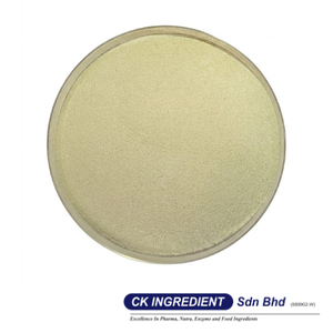 Top Sale Avocado Juice Powder Premium Quality Halal OEM B2B <b>Best</b> Supplier Guarantee Nutritious Superfood Smoothie Cereal Base - Product Image 3