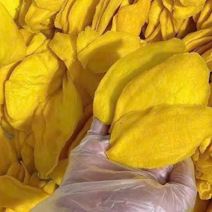 Rodajas de Mango Seco Premium Suaves, Proveedor de Vietnam, Exportación a Granel a Todo el Mundo - Product Image 2