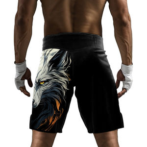 Nouveaux shorts de combat MMA personnalisés pour hommes 2026 – Tenue d'arts martiaux sur mesure – Service OEM/ODM - Product Image 6