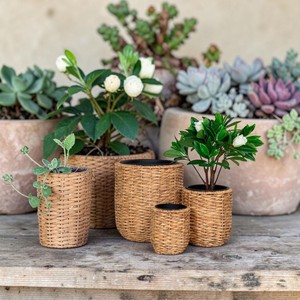 Eco Friendly Biodegradable Set 3 Water Hyacinth Planter Pots Waterproof <b>Liner</b> Rustic Vintage Style Best Selling Home Garden - Product Image 3