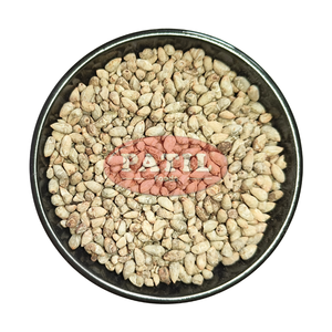 Semillas de Algodón Gossypium Herbaceum Pamba Dana, Herbolarias, Limpias y Clasificadas al 99%, Venta al Por Mayor - Product Image 1