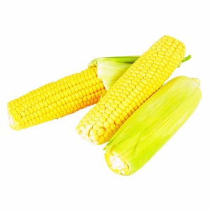 Maíz Amarillo Fresco de la Mejor Calidad, No Glutinoso, Sin OMG, para Consumo Humano y Animal, 50 kg, Suministro Directo, Alimento con Alto Contenido de Proteínas - Product Image 4