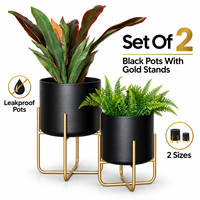 Lot de deux jardinières décoratives modernes en métal avec support doré, pots noirs étanches pour intérieur, maison, hôtel, bureau