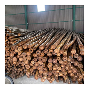 Poteaux en bambou authentiques, bûches de bois dur pour la fabrication de filets agricoles commerciaux et la conception de terrasses extérieures, fournis par le Vietnam - Product Image 5