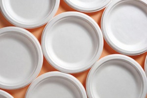 LKS Enterprises 2025, Platos Desechables Resistentes de Material de Bagazo, Ecológicos y Biodegradables, Fabricados en India - Product Image 3