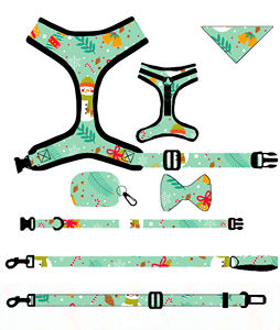 Set Guinzaglio e Collare in Poliestere Imbottito per AirTag, Pettorina Impermeabile Morbida per Cani di Piccola Taglia e Maniglia Doppia in Silicone per Cani di Taglia Grande - Product Image 2