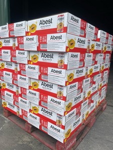 Jus de papaye ABEST, boisson tropicale, vente en gros, OEM, usine du Vietnam, marque et formule personnalisées, boissons aux fruits - Product Image 6
