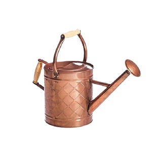 Arrosoir en métal fini vert clair avec poignée pour plantes d'intérieur et d'extérieur, aspect vintage - Product Image 6