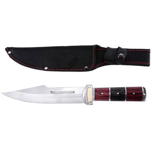 Couteau Bowie en acier inoxydable pour la randonnée, la chasse et les activités de plein air, avec une construction durable en acier inoxydable et une poignée ergonomique - Product Image 1