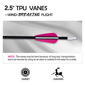 Flèche légère durable en fibre de verre de 6mm/6.75mm avec plume en plastique à pointe en acier utilisée pour l'outil de tir à l'<span class=keywords><strong>arc</strong></span> des jeunes - Product Image 4