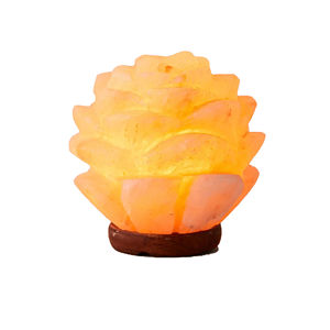 Lampe de sel de l'Himalaya naturelle pure, panier en bois, motif floral, artisanale, éclairage rocheux, décoration de chambre, favorise le bien-être - Product Image 1
