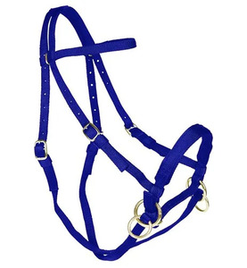 Horse Nylon <b>Bridle</b> Set Reins Adjustable Metal Fittings Durable Lightweight Equestrian Tack for Stable Riding Training Handling - Product Image 1