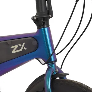 Bicicleta plegable eléctrica de forja líquida ODM 36V 11.6ah 250W, Motor sin escobillas, marco de aleación de aluminio, bicicleta plegable eléctrica 11.6ah - Product Image 2