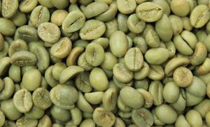 เมล็ดกาแฟโรบัสต้าออร์แกนิกเวียดนาม ขนาด 18 สำหรับตลาดยุโรปและตะวันออกกลาง ได้รับการรับรองจาก USDA คุณภาพดี ไร้ตำหนิ - Product Image 3