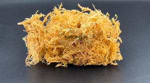<b>Natural</b> 100% Premium Dried <b>Sea</b> <b>Moss</b> Vietnam Eucheuma Cottonii Seaweed Irish Seamoss in Wholesale TAKIMEX Factory - Product Image 5