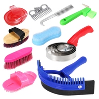 Juego de herramientas de aseo para caballos de acero inoxidable, kit de limpieza reutilizable, peine para crin y cola, cepillo de masaje, raspador de sudor, limpiador de pezuñas