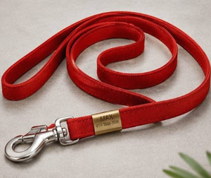 High Quality Durable Adjustable <b>Dog</b> <b>Collar</b> for Walking <b>Training</b> Outdoor Activities Nylon Material Metal Fittings - Product Image 6