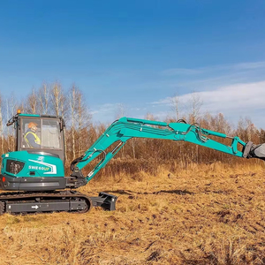 Excavatrice d'occasion robuste de 3000 kg avec châssis en acier et bras hydraulique renforcé pour le défrichement de sites industriels - Product Image 1