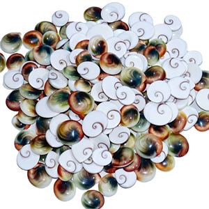 Calidad Natural Shiva Eye Loose Gemstone Cabochon Loose Gemstone Venta al por mayor Lot Mix Shape and Fine Gemstone Use Fabricación de joyas - Product Image 1