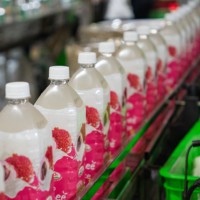 1L PET fles sapdrank met vitamine, zonder toegevoegde suiker, Nawon gezonde drank, groothandel HALAL dranken van Vietnamese fabrikant