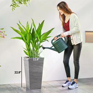 Set di 3 Vasi Classici in Plastica per Piante da Interno/Esterno da 1 Gallone con Fori di Drenaggio Decorativi di [Brand/Produttore] - Product Image 2