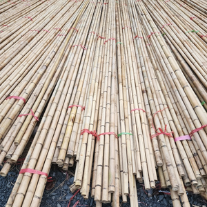 Vietnamese Wholesale Bamboo Branch Stick for <b>Garden</b> Use High Quality Flower Supporting Pole (50-100 Cm) - Product Image 1