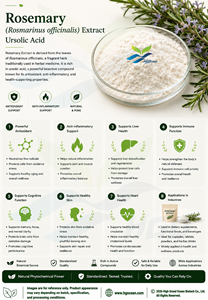 Hgo สารสกัดจากดอกโรสแมรี่ธรรมชาติบริสุทธิ์ (rosarinus officinalis) สารสกัดจากกรด ursolic 45% (สารสกัดมาตรฐาน) - Product Image 3