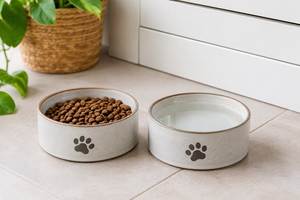 Tazón de Cerámica Pequeño para Gatos con Superficie Lisa Esmaltada, Forma Ligera y Cómoda, Base Estable para Comida y Agua, Uso Doméstico - Product Image 5