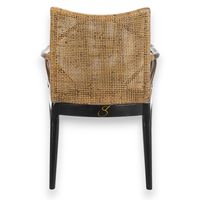 Fauteuil en rotin moderne Eco-Luxe